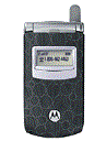 Best available price of Motorola T725 in Sxy