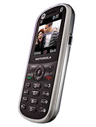 Best available price of Motorola WX288 in Sxy