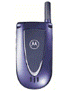 Best available price of Motorola V66i in Sxy